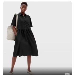 Everlane The Parklet Shirtdress Dress